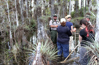 DMMW Everglades Ecology Conservation college class FT to Big Cypress